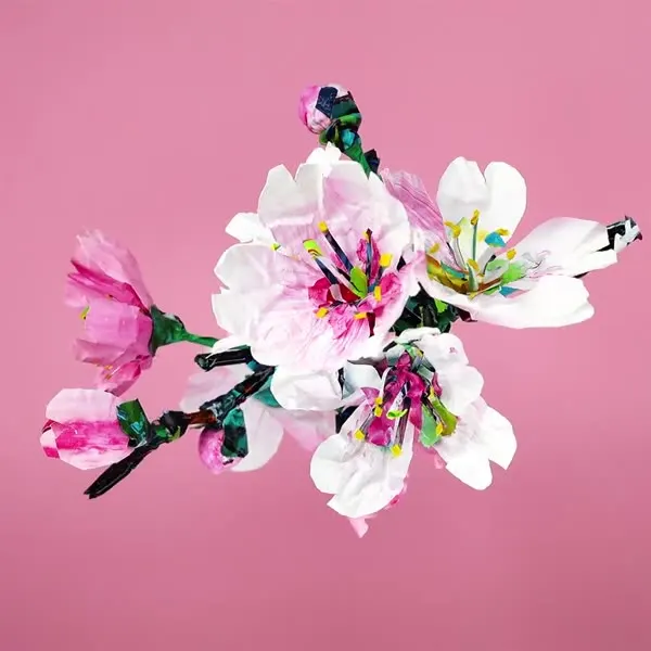 Minseok Kang, Cherry Blossom (2023) — A single-channel video of Korean flowers in delicate motion, Single-channel video