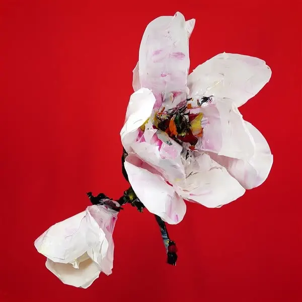 Minseok Kang, Magnolia (2023) — A single-channel video of Korean flowers in delicate motion, Single-channel video